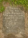 image of grave number 83855